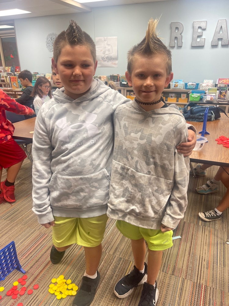 twins